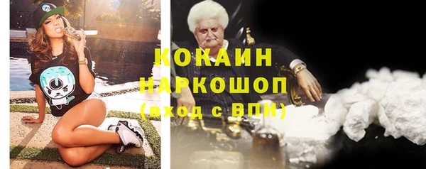 крисы Новозыбков