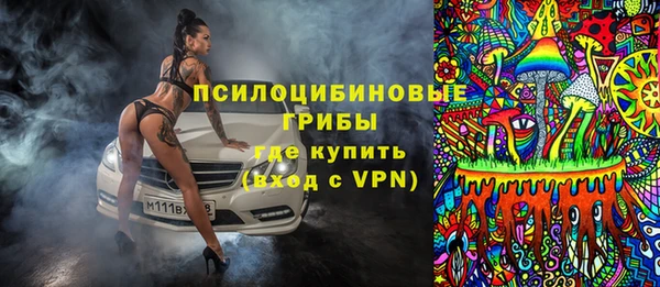 MDMA Няндома
