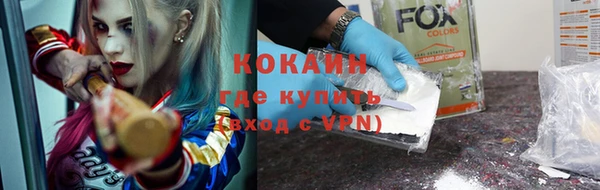 дурь Алексин