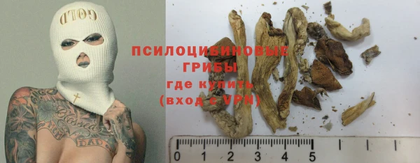 мдма Новодвинск