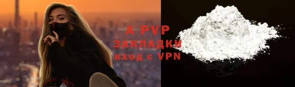 крисы Новозыбков