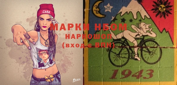крисы Новозыбков