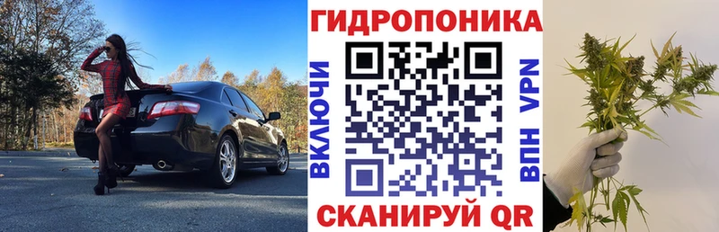 darknet как зайти  Тайга  Бошки марихуана семена  гидра ONION 